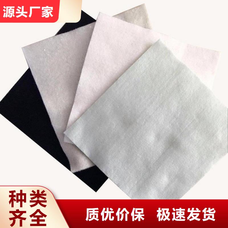 防渗膜品牌土工布质优价廉