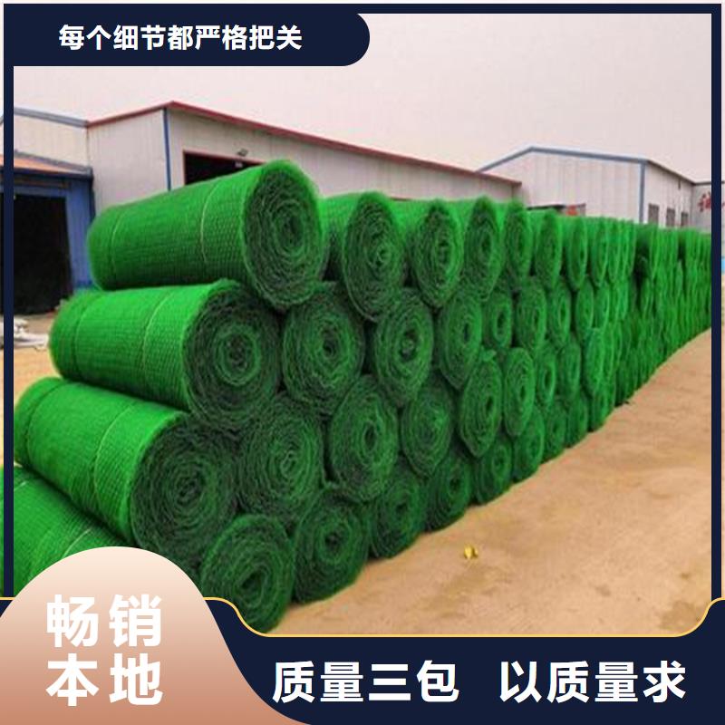 三维植被网【通风降噪丝网】货源足质量好