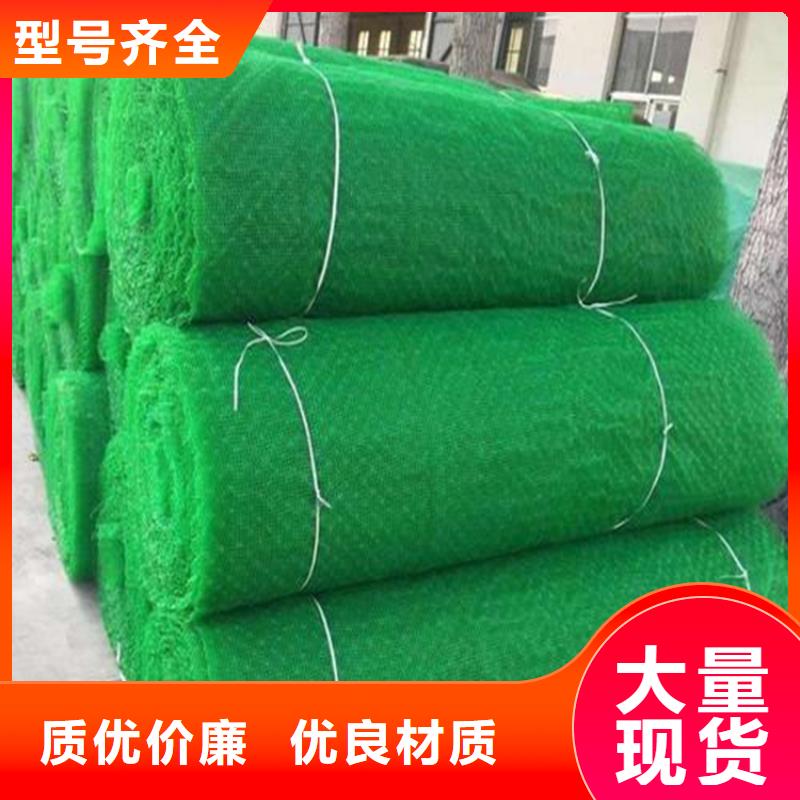 三维植被网-土工席大厂生产品质