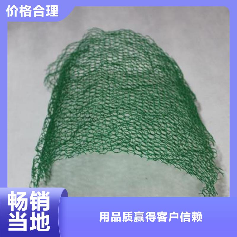 鼎诺防渗膜【 三维植被网-HDPE土工膜供货及时】qy55.com