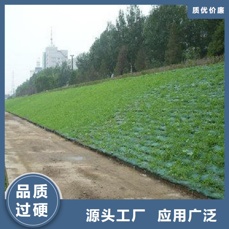 三維護坡植草網動態資訊
