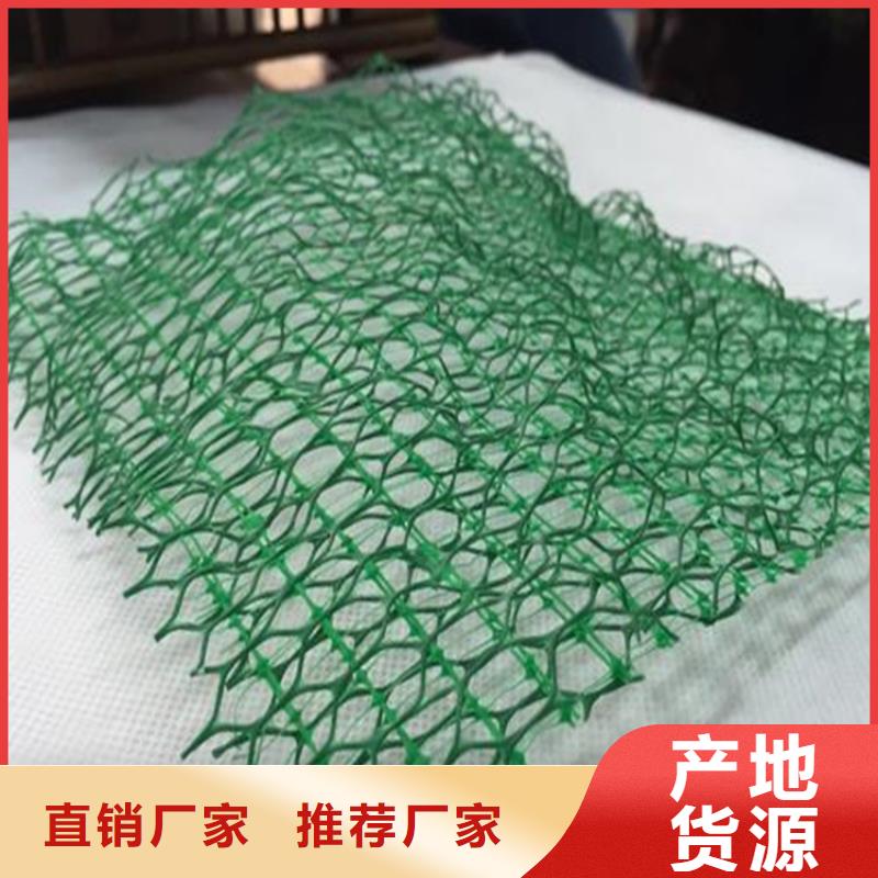 鼎诺防渗膜【 三维植被网-HDPE土工膜供货及时】qy55.com