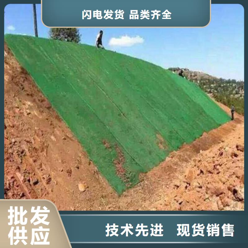 三维植被网土工膜极速发货
