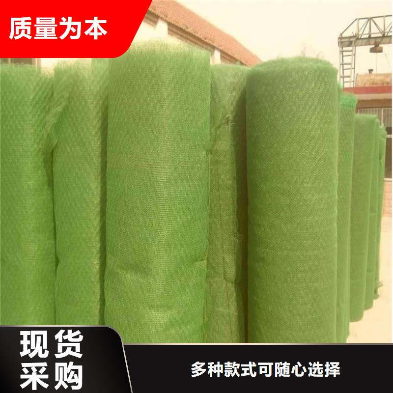 三维植被网【通风降噪丝网】货源足质量好