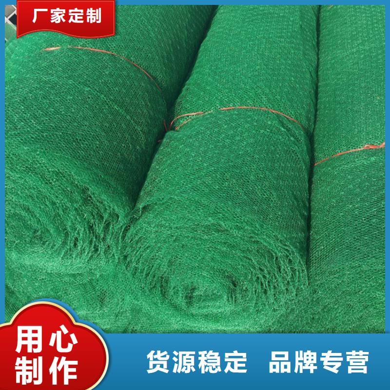 三维植被网【通风降噪丝网】货源足质量好