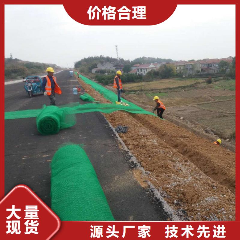 【三维植被网】【排水板】实体厂家