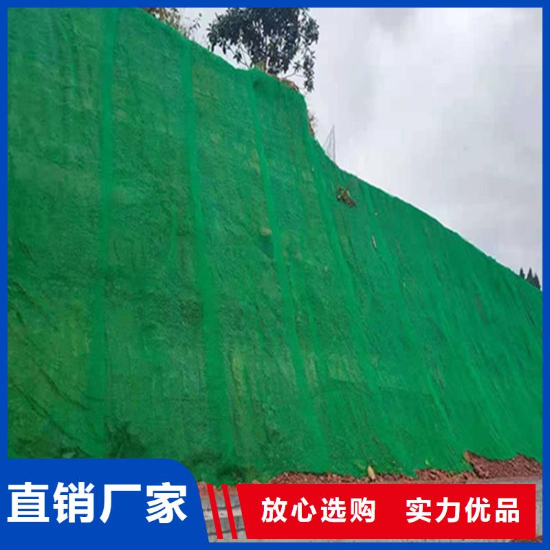 三维植被网-土工席大厂生产品质