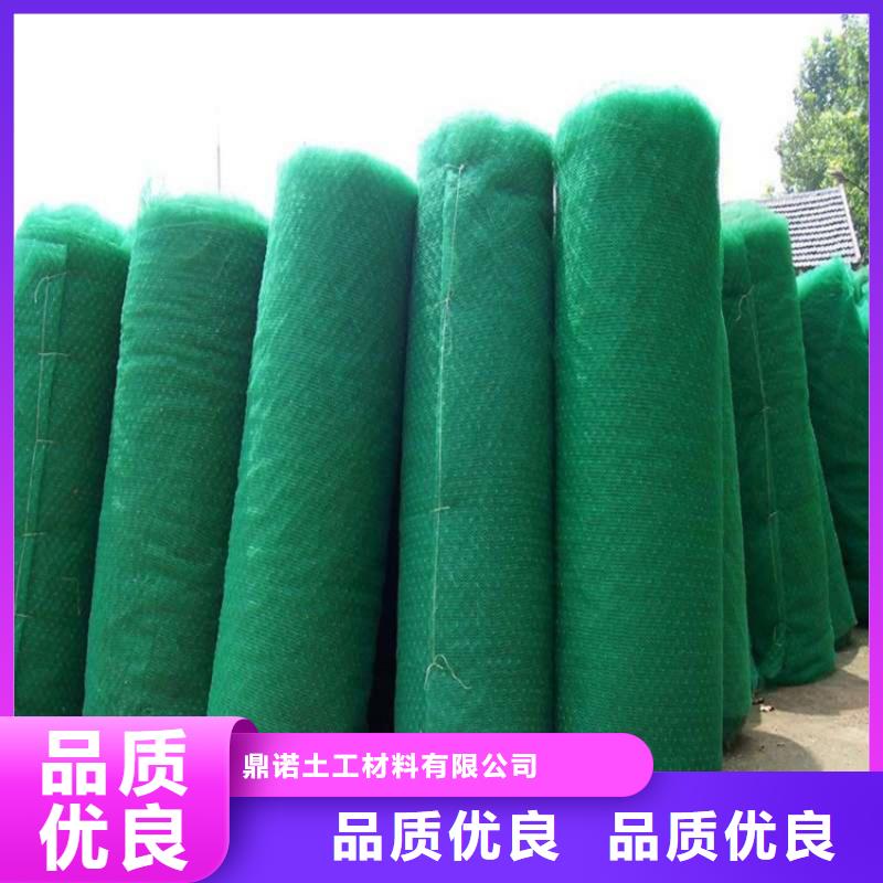 鼎诺【 三维植被网-HDPE土工膜供货及时】-业务覆盖区域|宿州|蚌埠|宣城|亳州-企业旺旺
