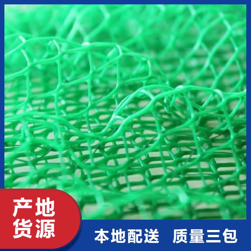 三維植被網(wǎng)【防水排水板】廠家自營(yíng)