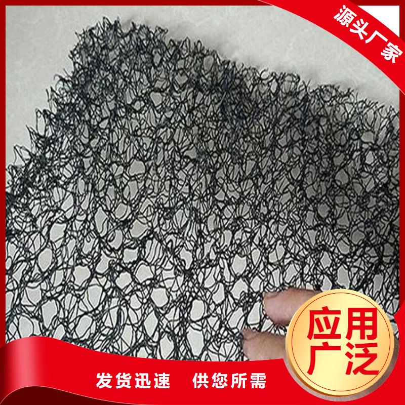 防渗膜鼎诺【水土保护毯】 土工布优质货源