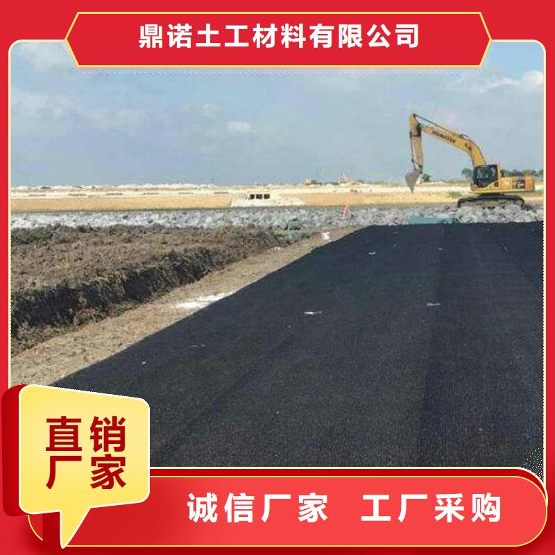 鼎诺【水土保护毯】-防水膜可定制有保障-企业旺旺