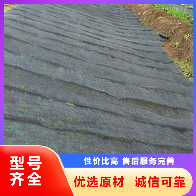 北京当地厂家值得信赖鼎诺水土保护毯_软式透水管诚信厂家