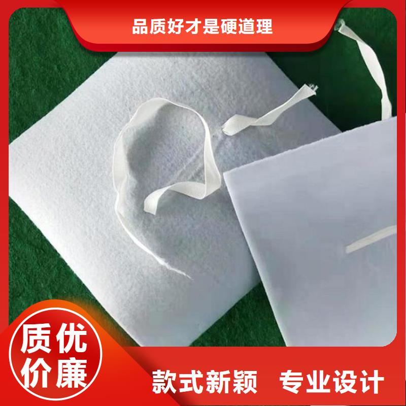 防水板-【防渗膜】优质工艺鼎诺防渗膜