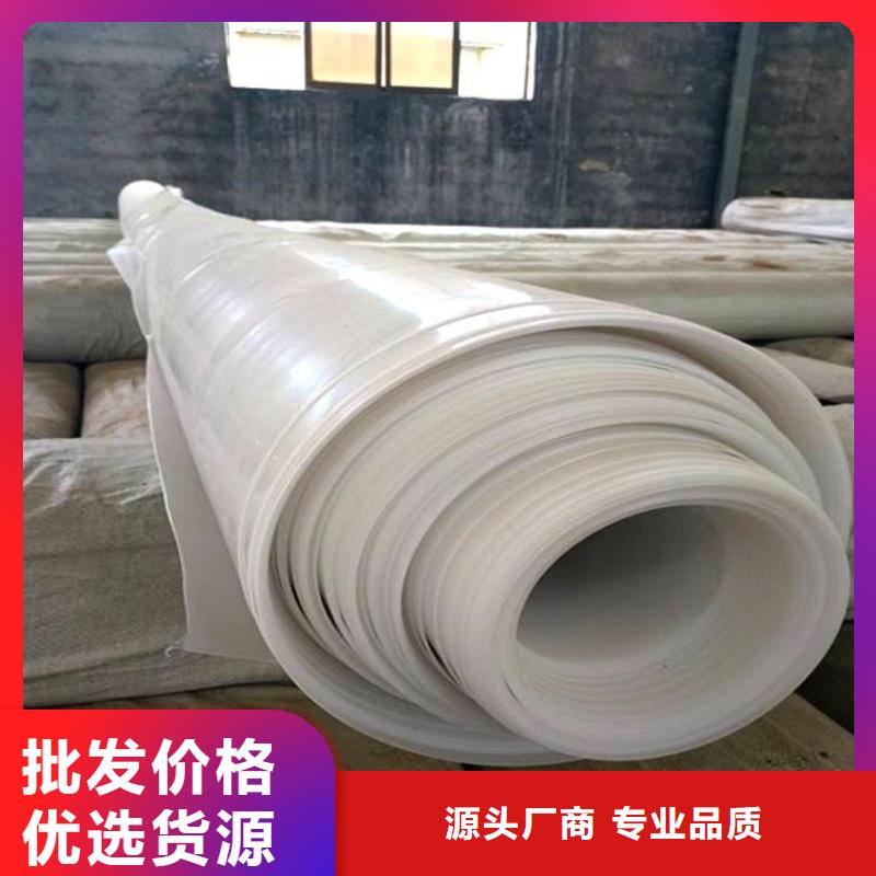 防水板土工膜匠心打造