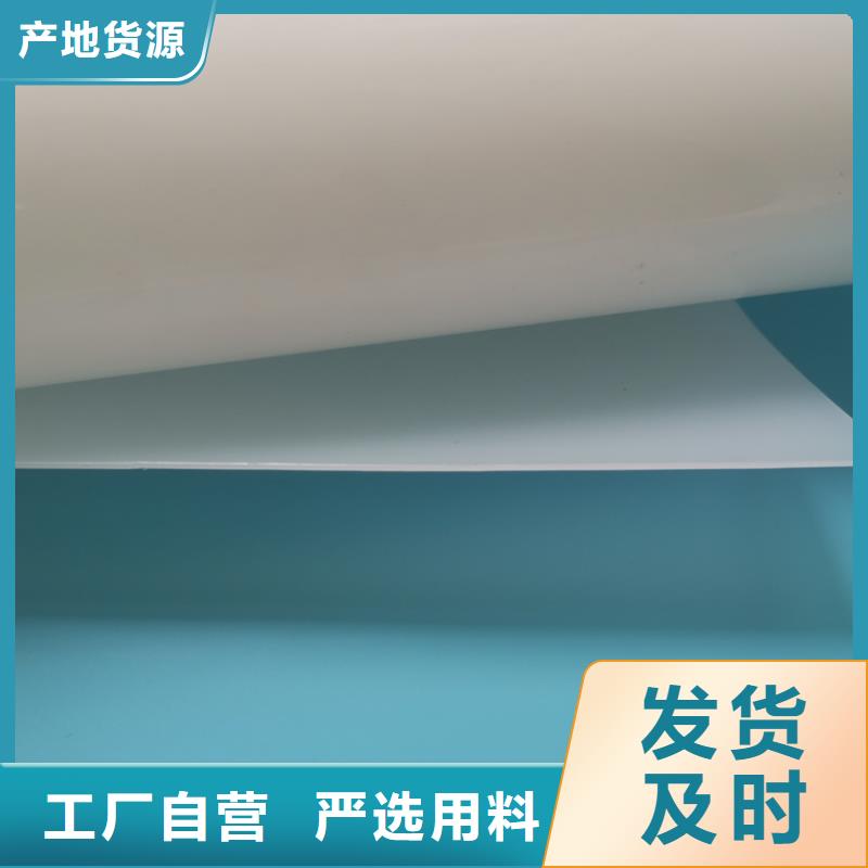 品质保障价格合理【防水板】-土工格栅好货有保障厂家案例_视频