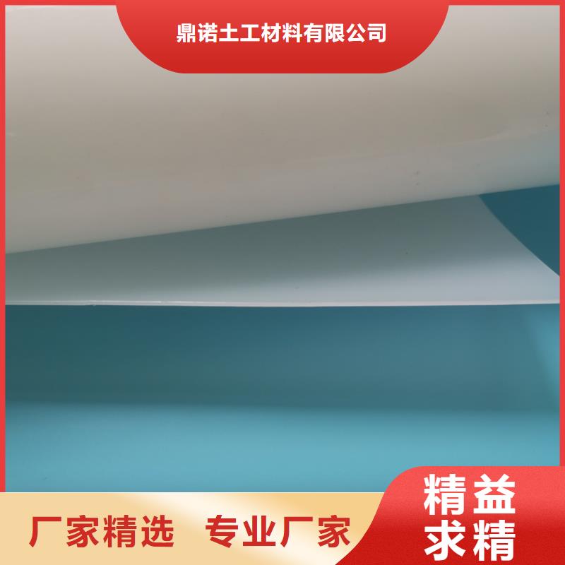 防水板-【防渗膜】优质工艺鼎诺防渗膜