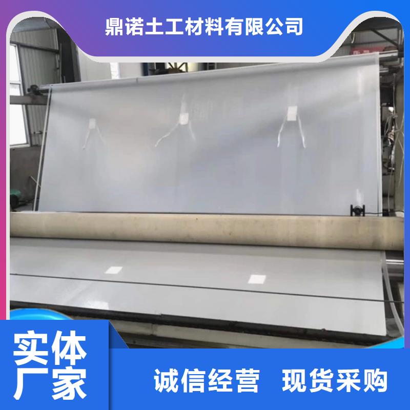 防水板土工布欢迎来电询价
