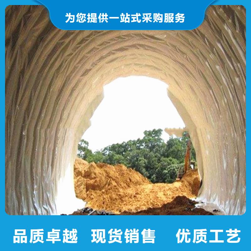 鼎诺防渗膜防水板-【防渗膜】优质工艺