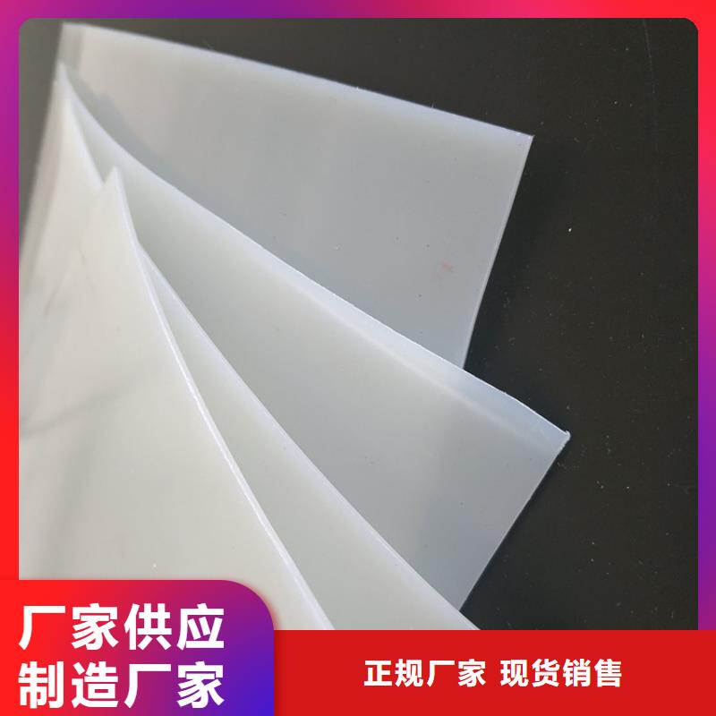 防水板水泥毯專業生產品質保證