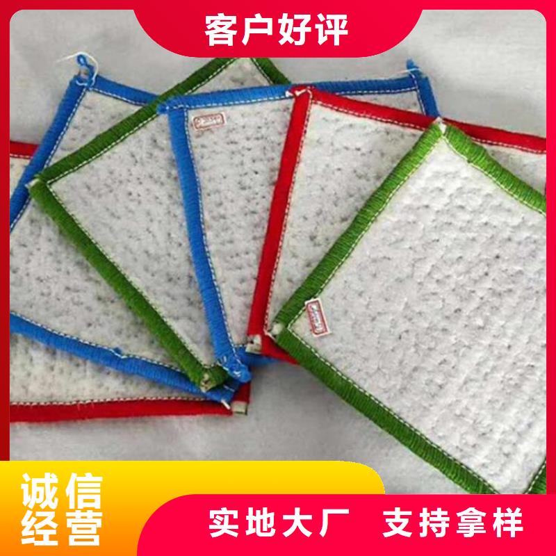 防渗膜鼎诺【 膨润土防水毯 土工膜量大从优】