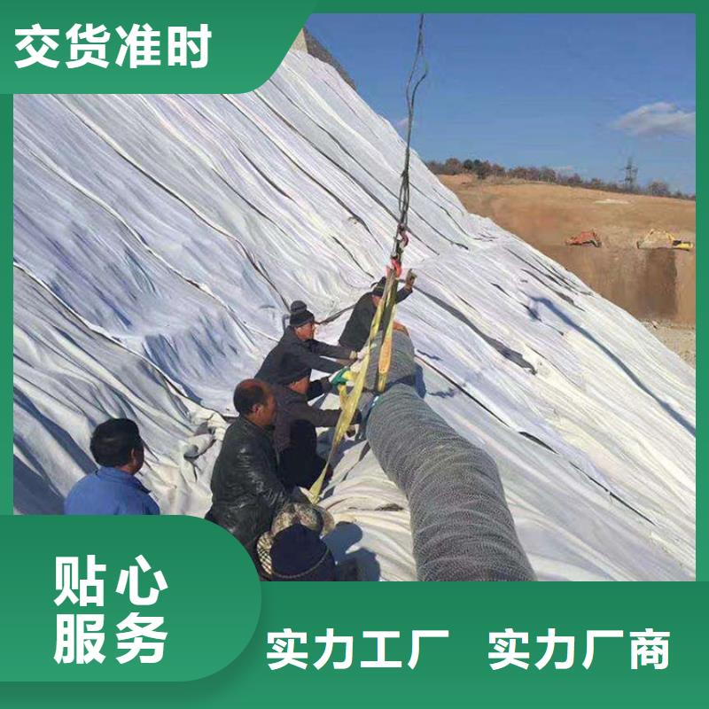 【 膨润土防水毯 土工膜量大从优】由鼎诺为您