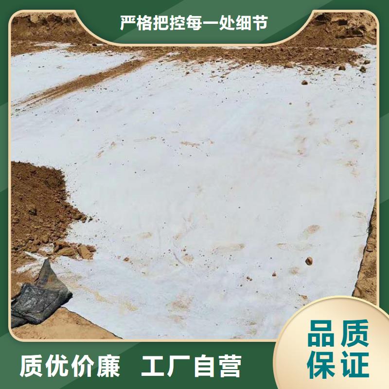 人工湖膨润土防水毯GCL