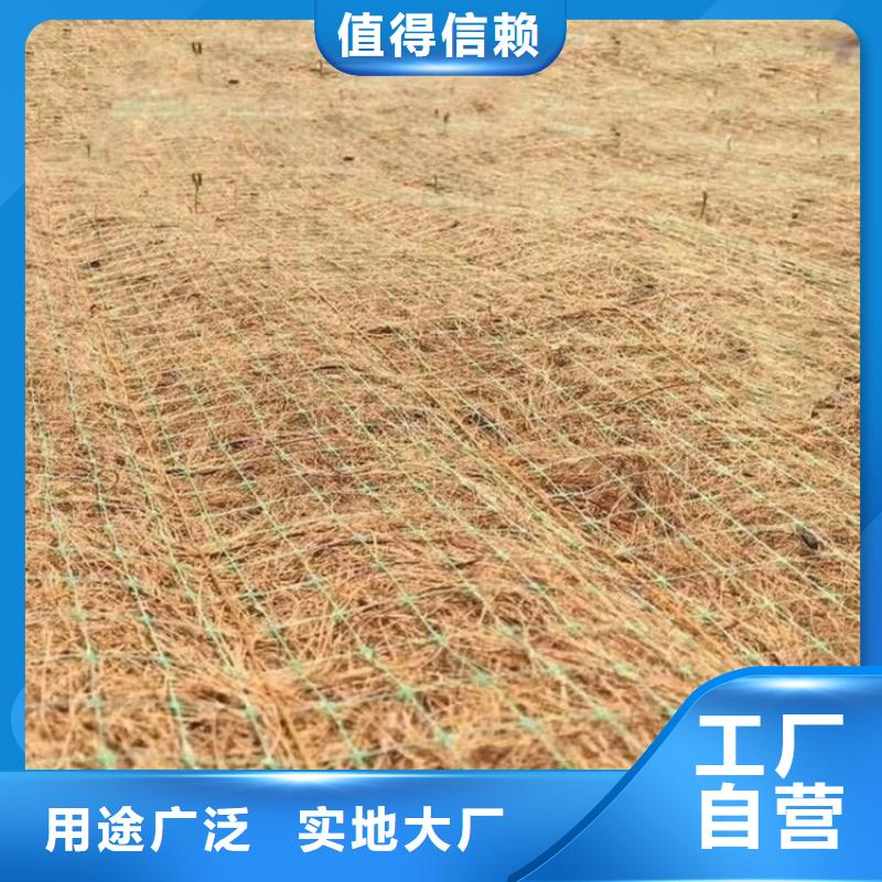 【椰丝毯】 土工格栅量大从优由鼎诺为您