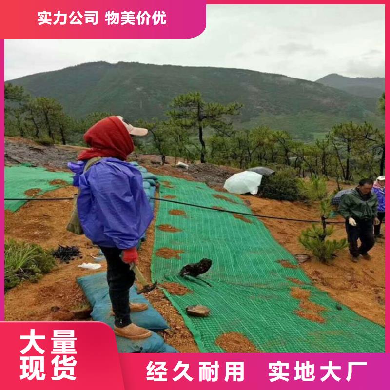 椰丝毯防水板厂家工艺先进