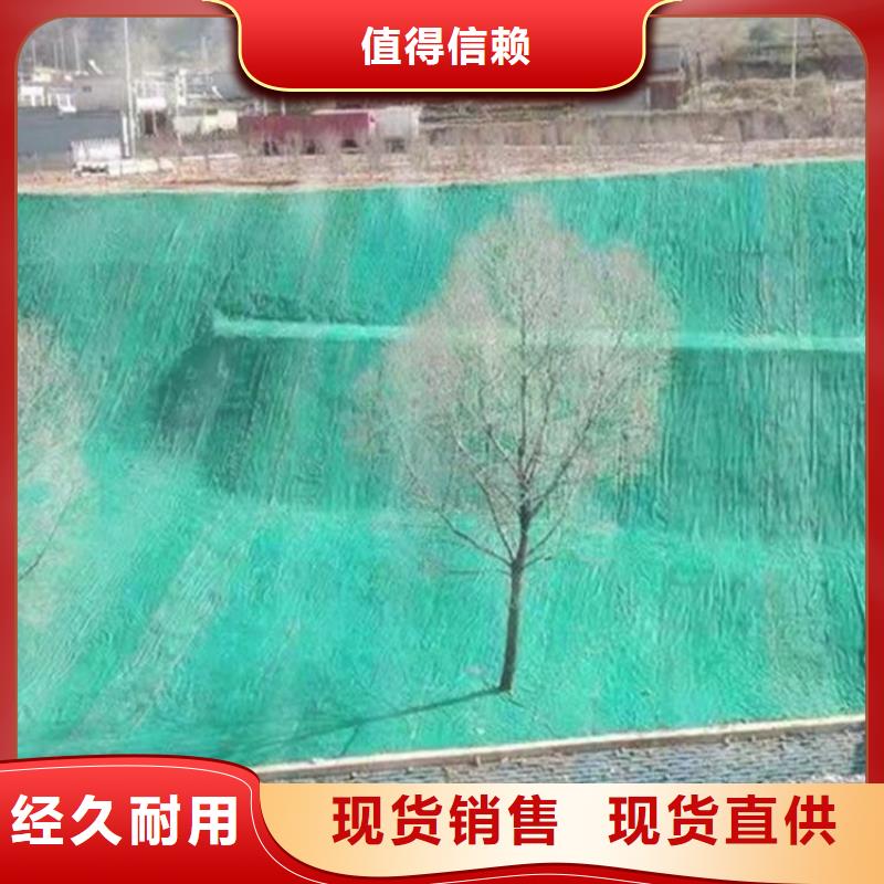 公路植生毯强度