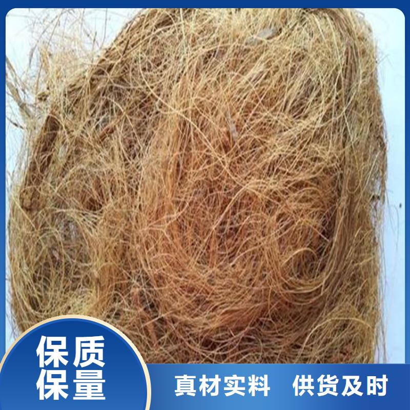 环保草毯椰丝纤维毯