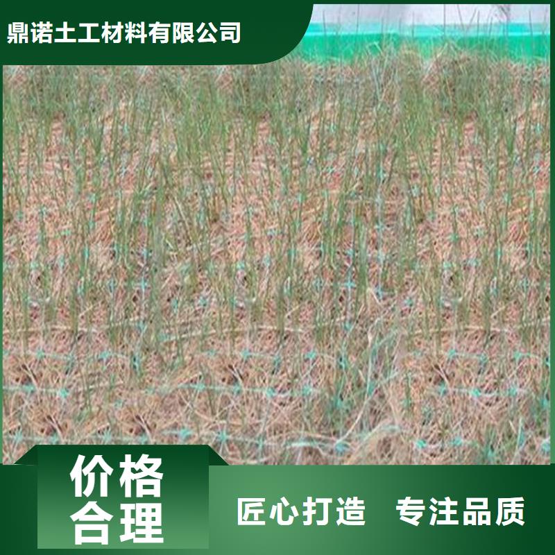 水保抗沖生物毯