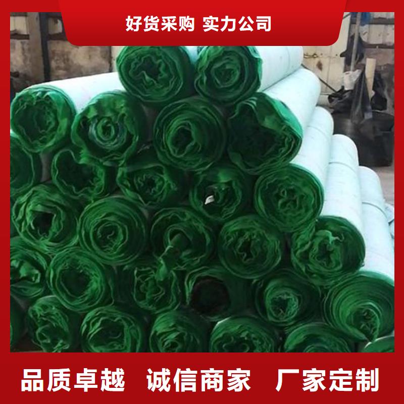 椰絲毯-HDPE土工膜生產(chǎn)廠家