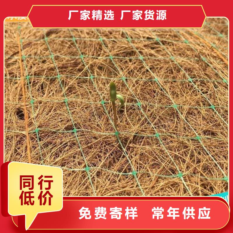 椰丝植生毯场批发