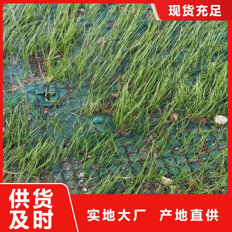 椰丝纤维毯护坡植物纤维毯