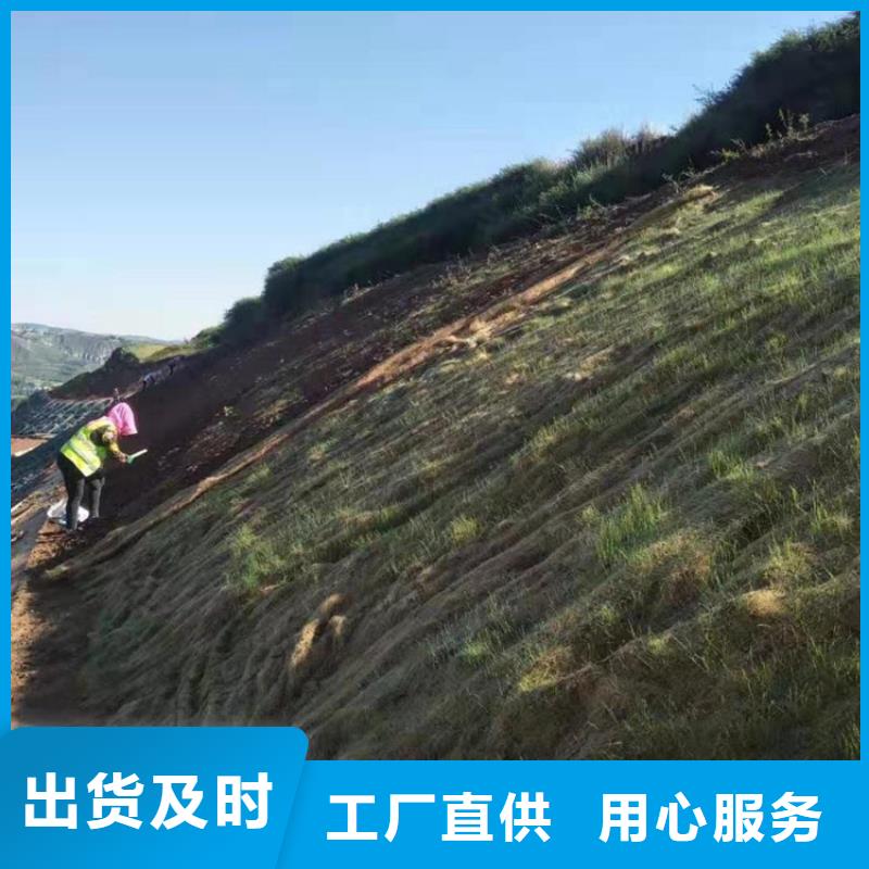 護坡植被植草毯護坡生態草毯