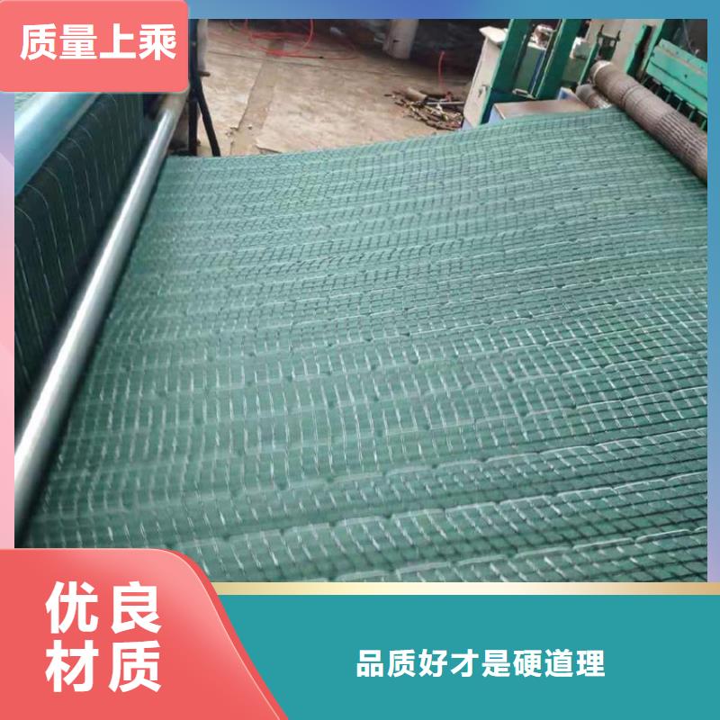 《北京》精工制作鼎诺椰丝毯,HDPE土工膜商家直供