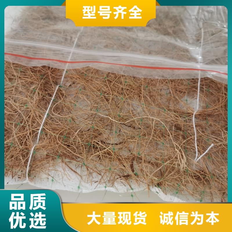 【椰丝毯】HDPE土工膜快速生产