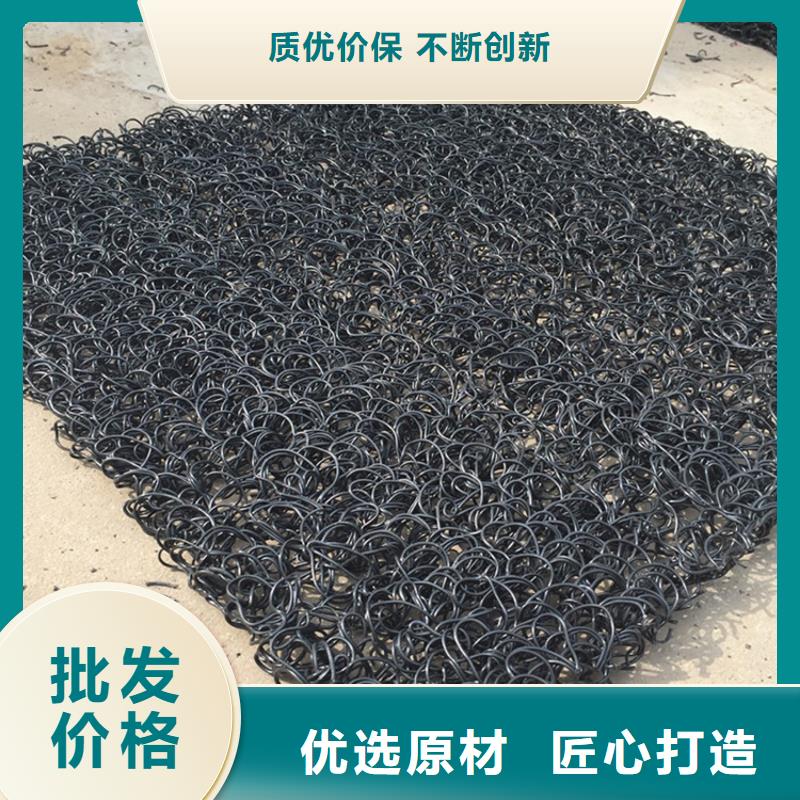 【 土工席垫_塑料盲沟实力厂商】当地生产厂家