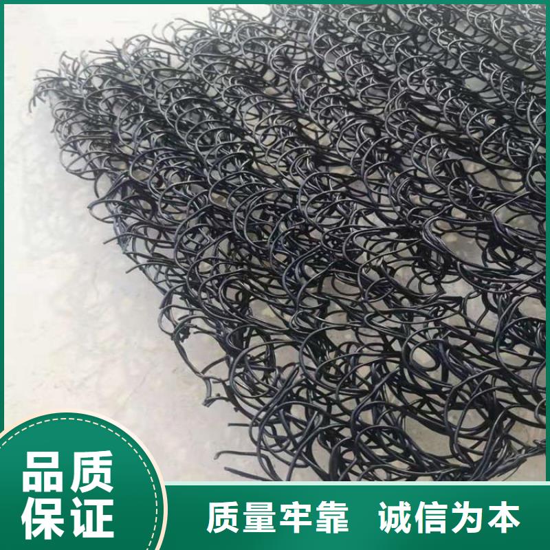 防渗膜-视频-防渗膜(鼎诺)覆盖地域辽宁省阜新|铁岭|鞍山|抚顺|沈阳|丹东