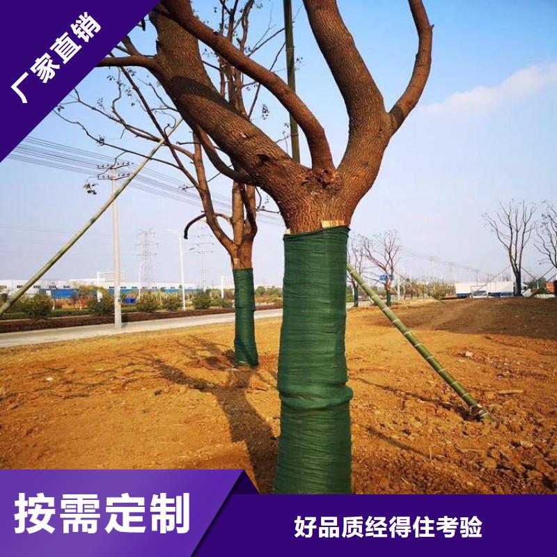 鼎诺防渗膜【 裹树布,【防渗膜】用途广泛】qy55.com