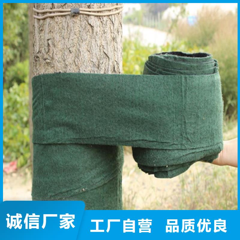 【裹树布】-土工布工厂采购 鼎诺土工材料(云浮市分公司)