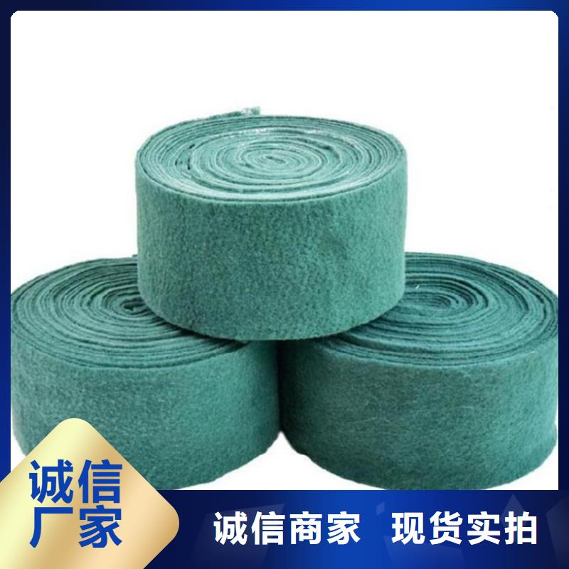 【 裹树布土工格栅源厂定制】_鼎诺土工材料(长治市分公司)