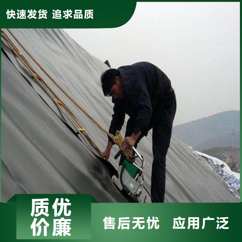 土工膜HDPE土工膜實力商家