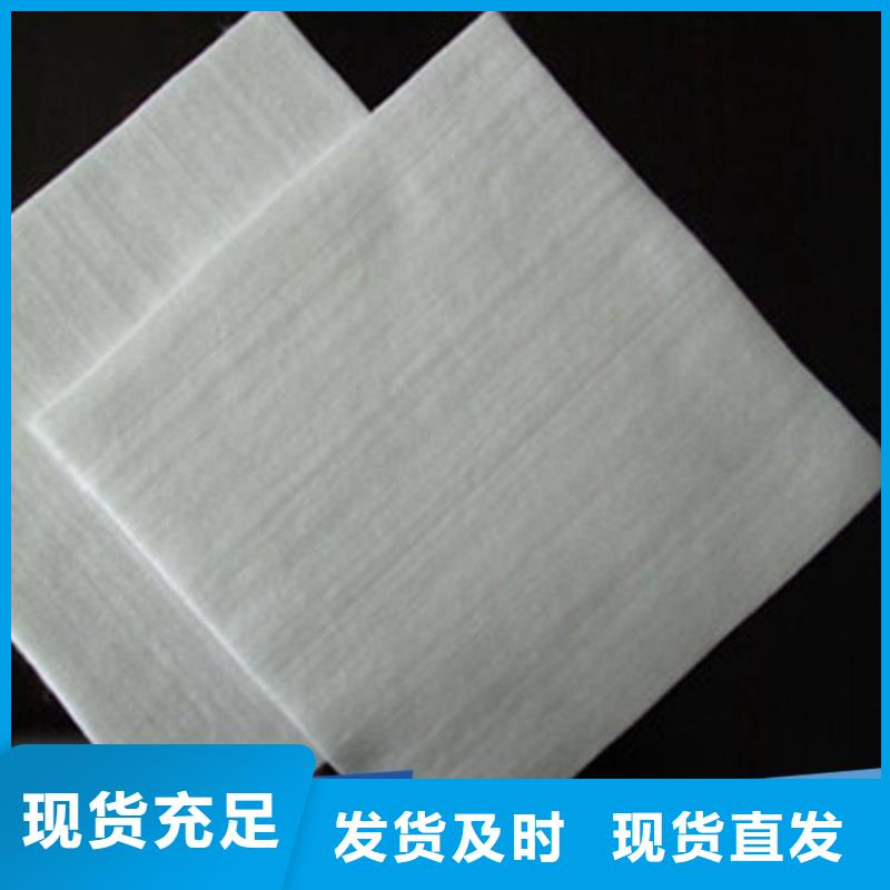 中齐防渗膜【 土工布-塑料盲沟实力优品】企业旺旺