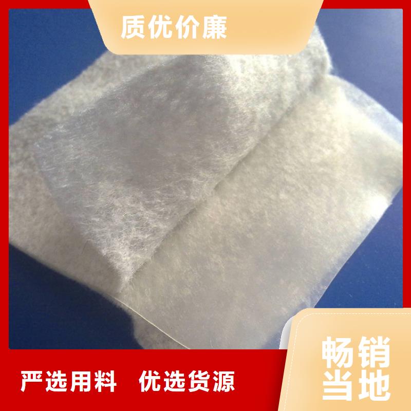 土工布双向塑料土工格栅核心技术
