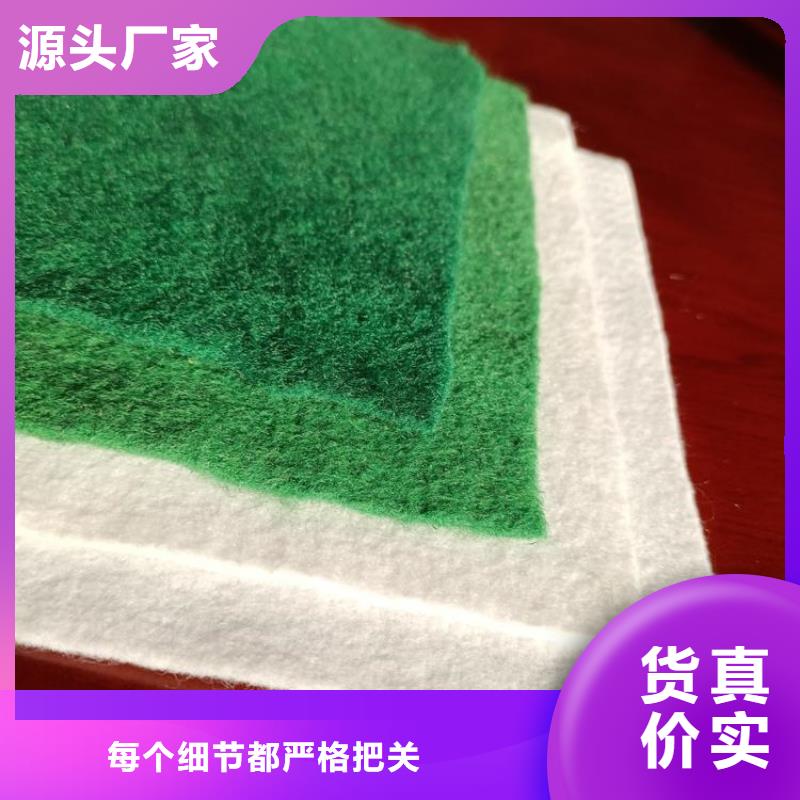 土工布双向塑料土工格栅核心技术