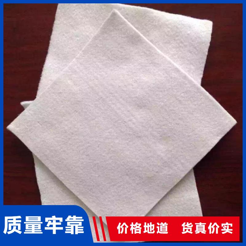 土工布土工格栅源头工厂量大优惠
