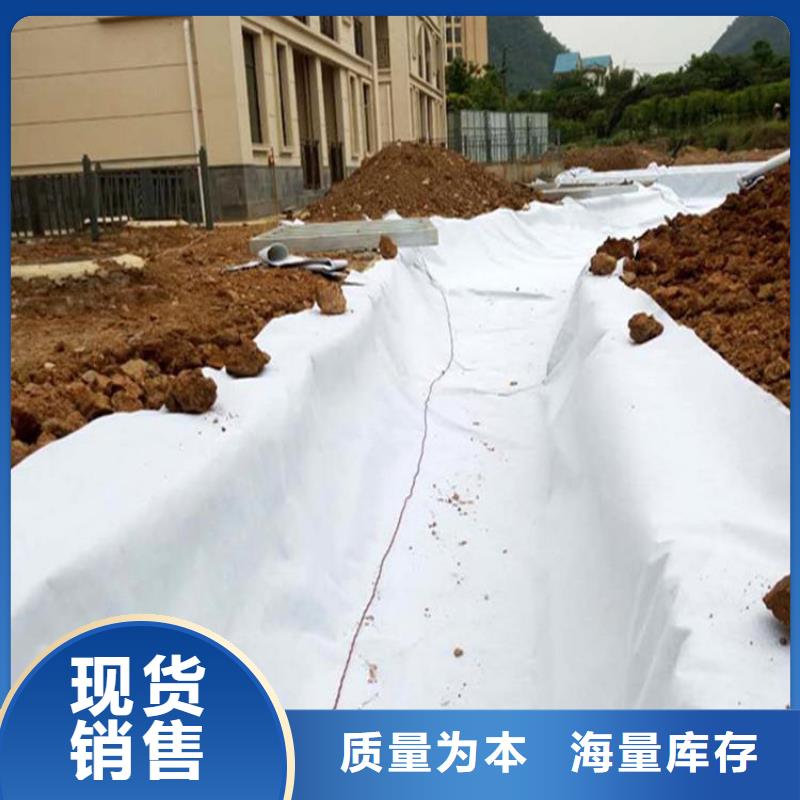 土工布双向塑料土工格栅核心技术