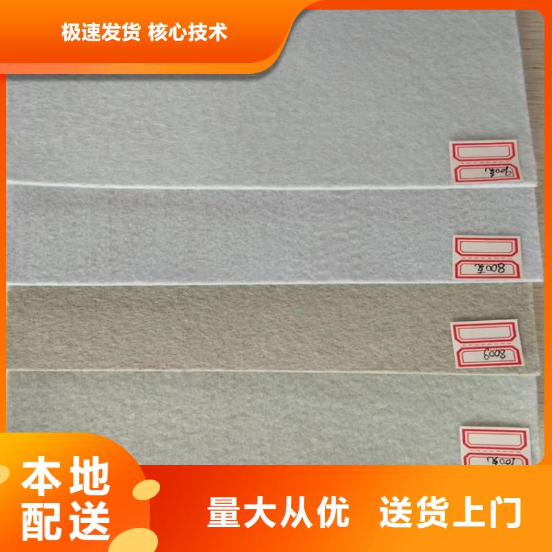 土工布,土工膜自有厂家