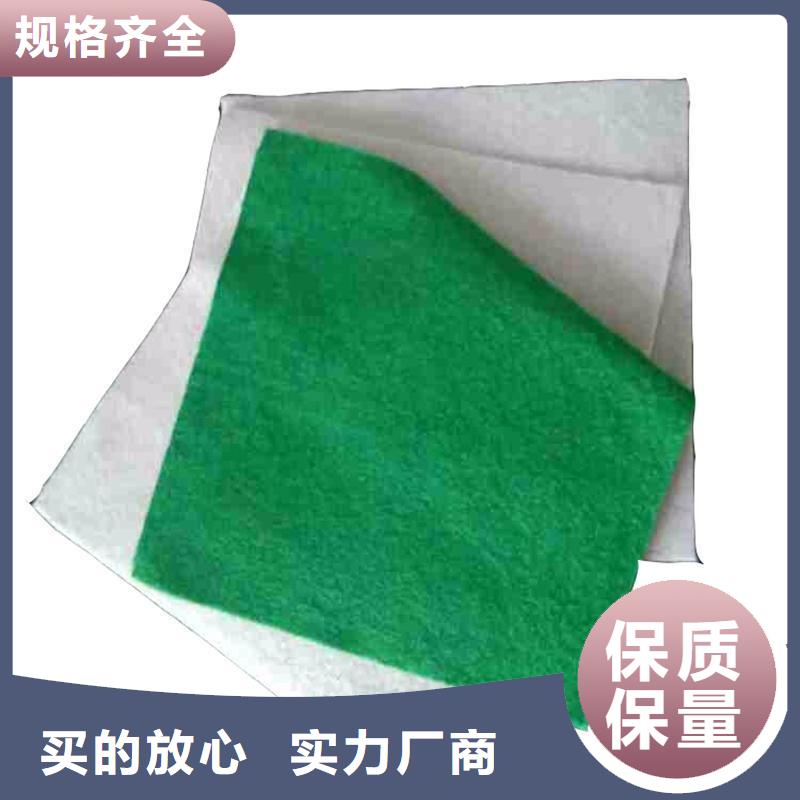 土工布-硬式透水管實拍展現